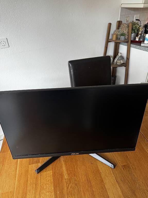Asus Monitor: Asus Gaming Bildschirm – Usato da Wynigen venduto da stu_fkk2