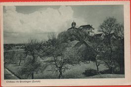GRÜNINGEN Château