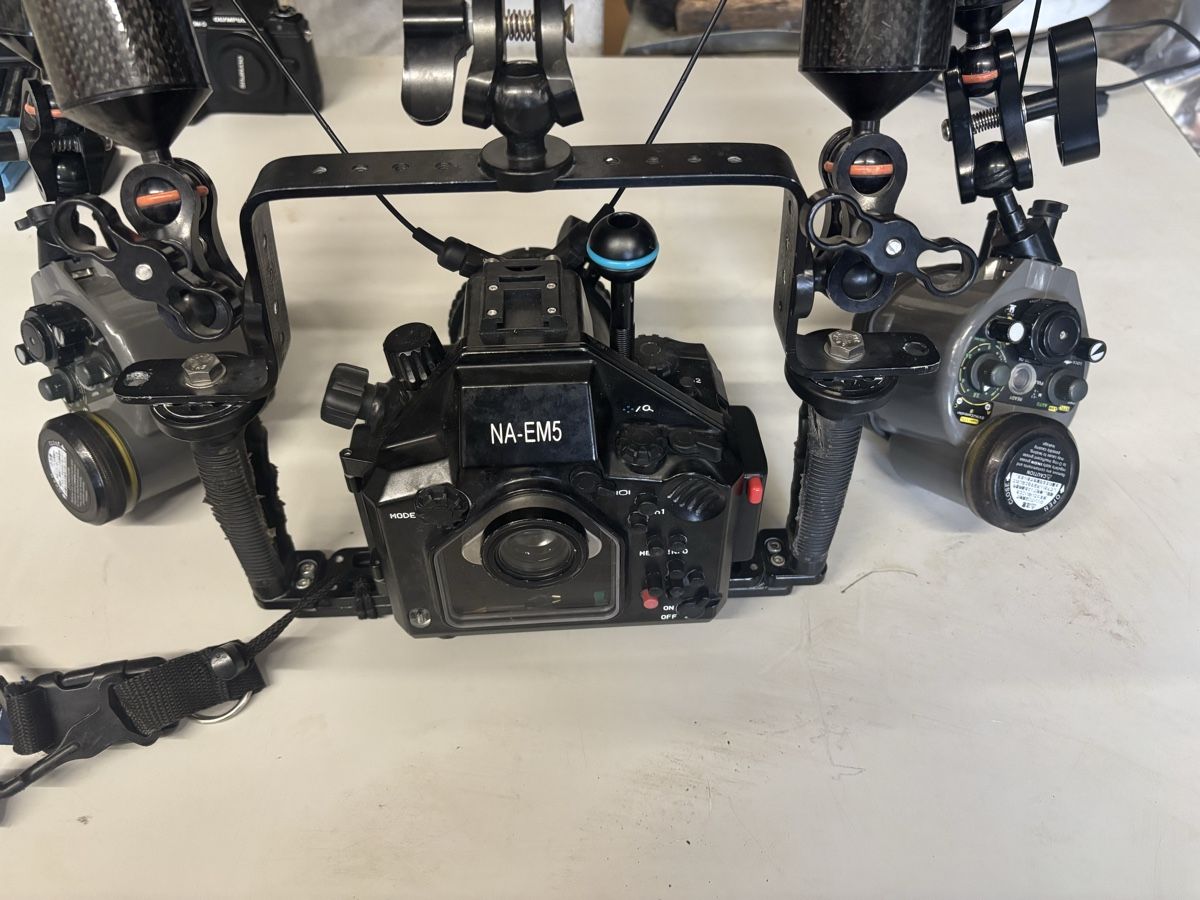 Olympus Lampen & Fotografie: Olympus E-M5 mit Nauticam Gehäuse – Gebraucht aus Aarberg von stefuboxen22 4
