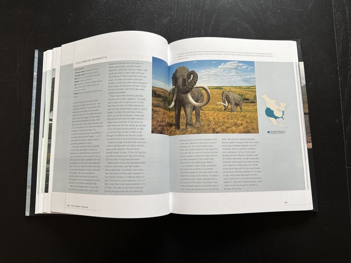 Libri: WILD New World – Usato da Erstfeld venduto da Uhu1980 4
