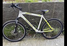 Herren  Bike