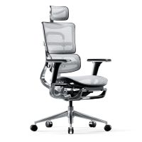 Ergonomischer Schreibtischstuhl V-Master Schwarz-Weiss