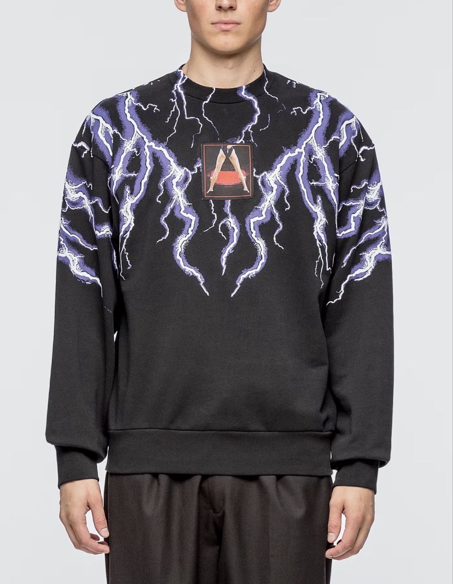 Alexander Wang Maglioni & Felpe: Iconischer Alexander-Wang-Sweatshirt – Usato da Winterthur venduto da eli_d9wl