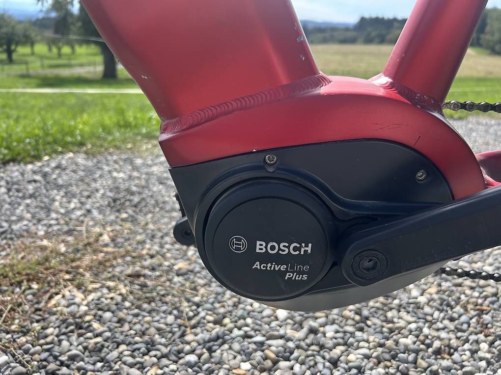 Wheeler Biciclette: Zwei E-Bike – Usato da Raperswilen venduto da pum_w8wc 1