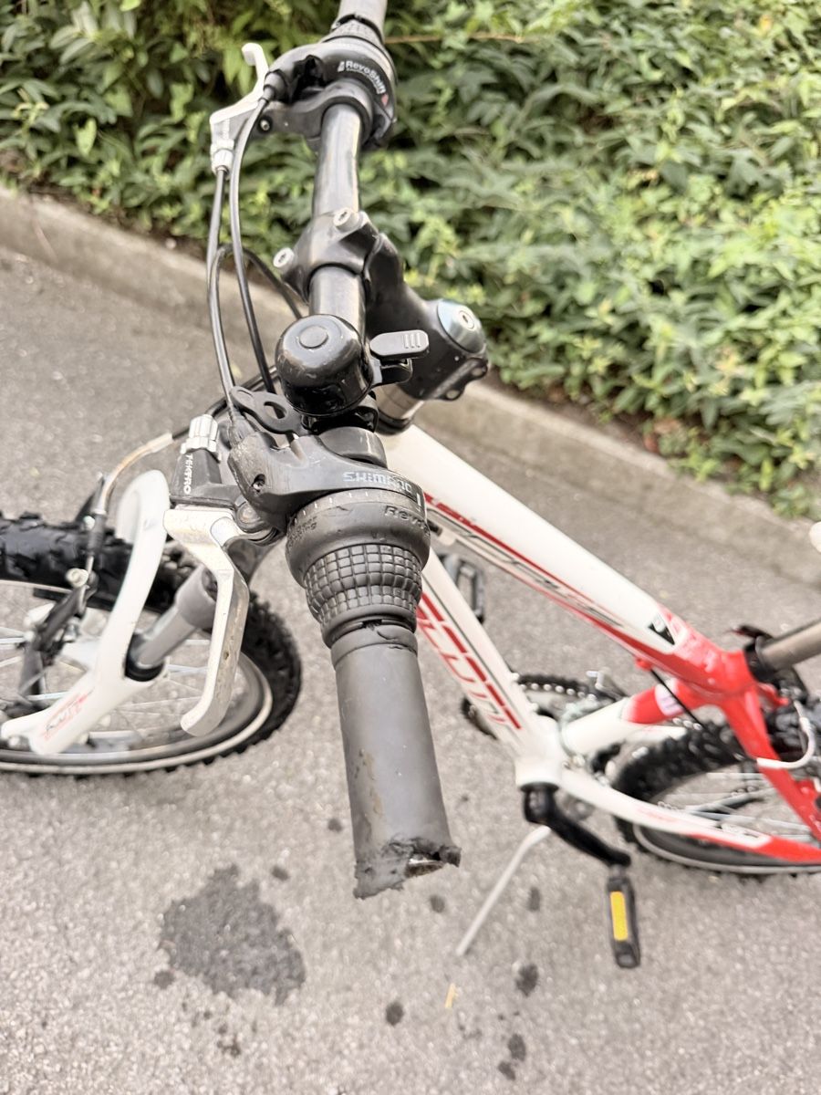 Scott Biciclette: Scott jr 20 zoll – Usato da Stansstad venduto da 91PD 5