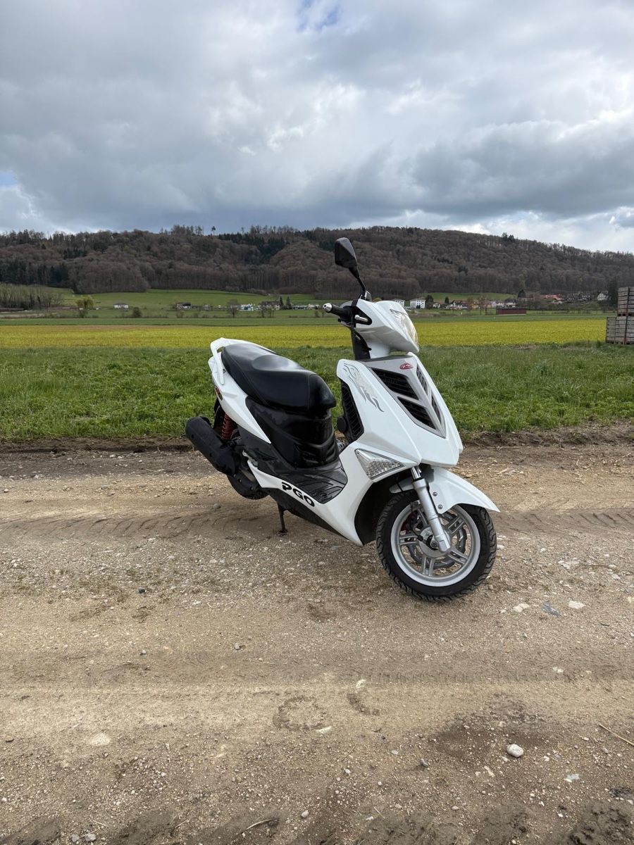 Pgo Scooter: Roller – Usato da Gals venduto da markus9785 1