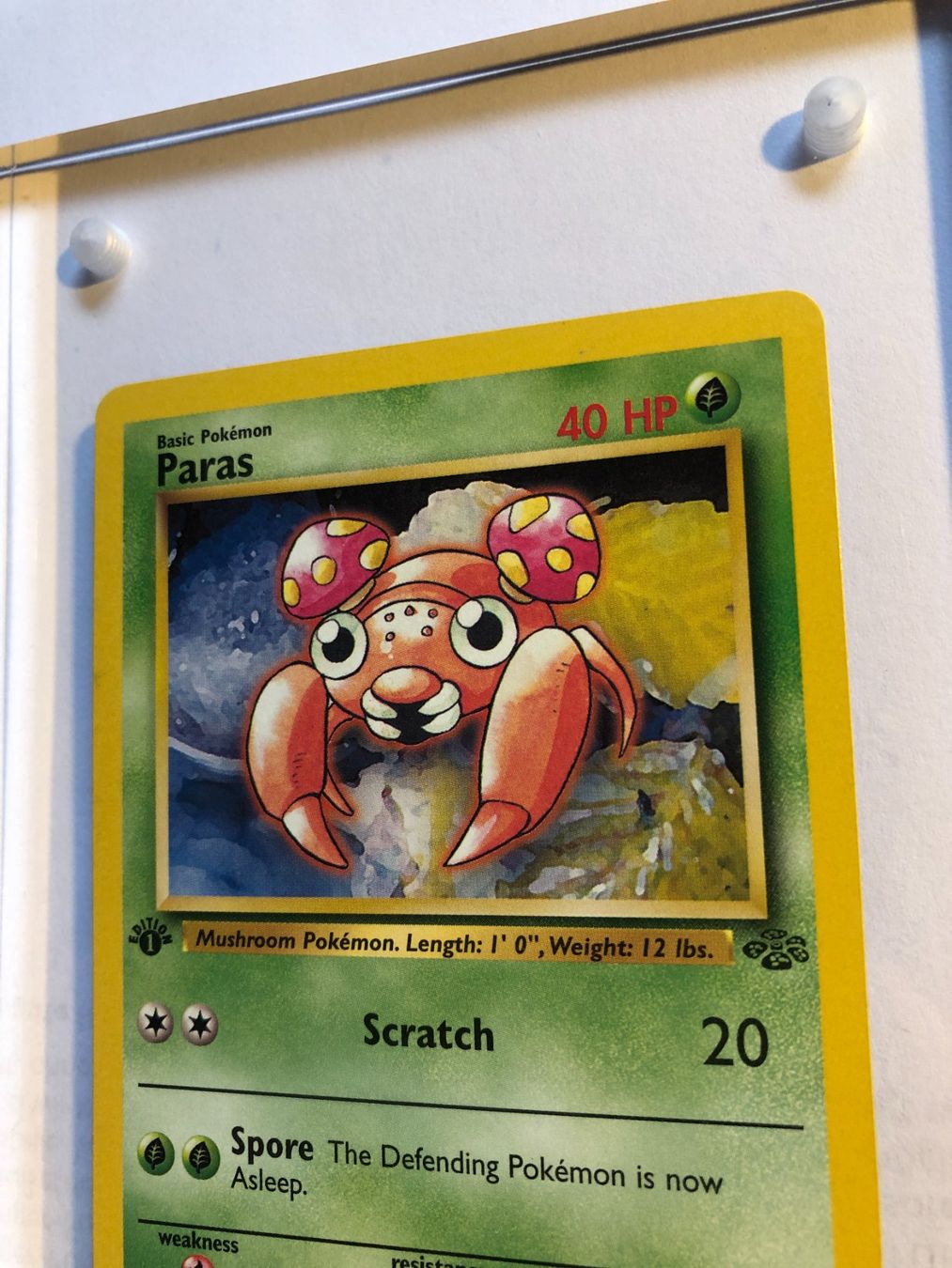 Carte collezionabili: Paras 1st Jungle - MINT - ab 1.- – Usato da Giubiasco venduto da dan_pr8b 3
