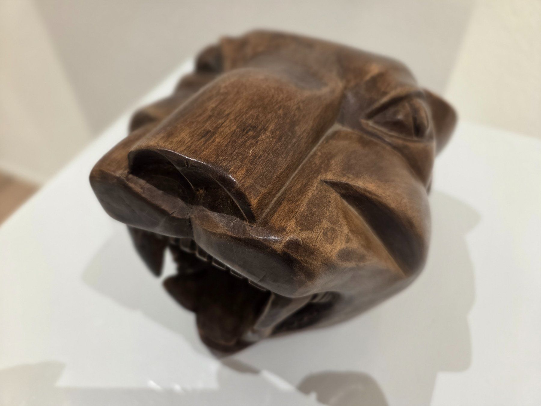 Maschere: Panther Kopf in Holz – Usato da Gersau venduto da pd-design-and-art 3