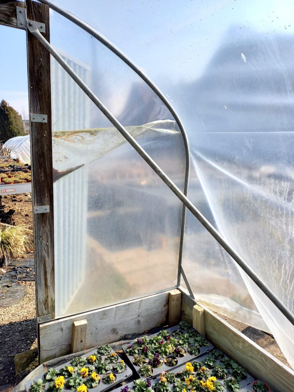 Casette da giardino & serre: Folientunnel-Gerüst – Usato da Alchenstorf venduto da 20claudia14 2