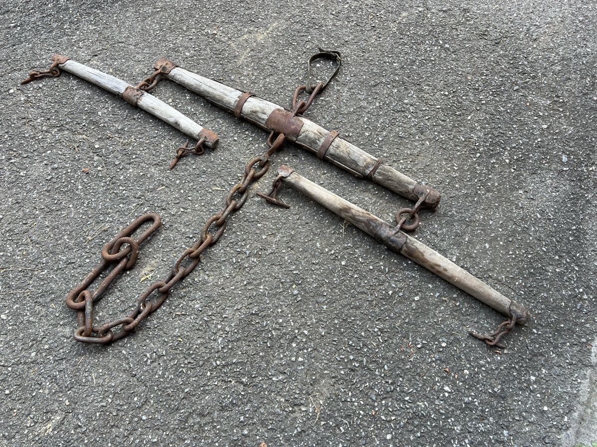 Carrozze: Zweispännige Kutschenwaage – Usato da Bad Ragaz venduto da Lucjoh 1
