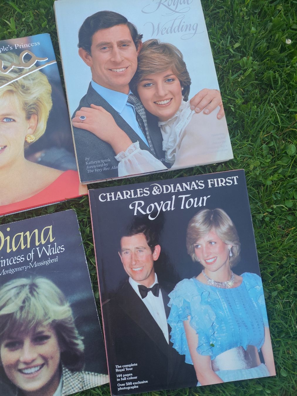 Libri: Princess Diana Books Collection – Usato da Mägenwil venduto da VintageGirly 2