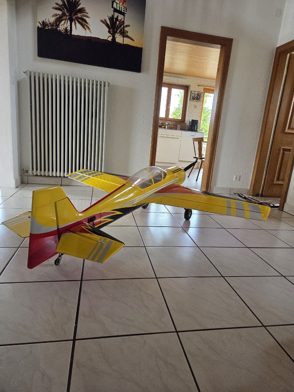RC Modellbau: Sebart Sukhoi s140 E – Gebraucht aus Besenbüren von oli_6ts9 2