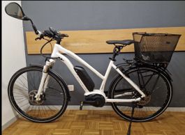 Flyer E-Bike 45- km/h