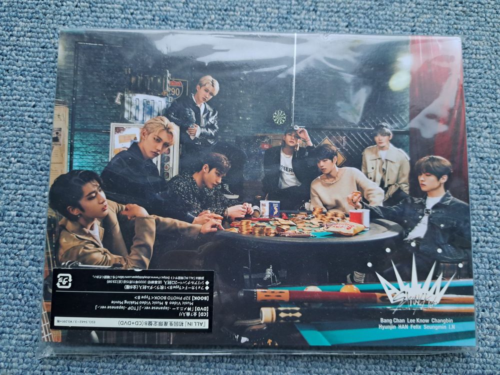 Stray Kids SKZ ALL IN Japan Limited Album B ver. CD + DVD (Gebraucht ...