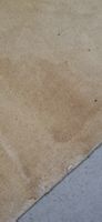 china artdeco Teppich, Vintage, 236x174 cm, Frühlingsdesign?