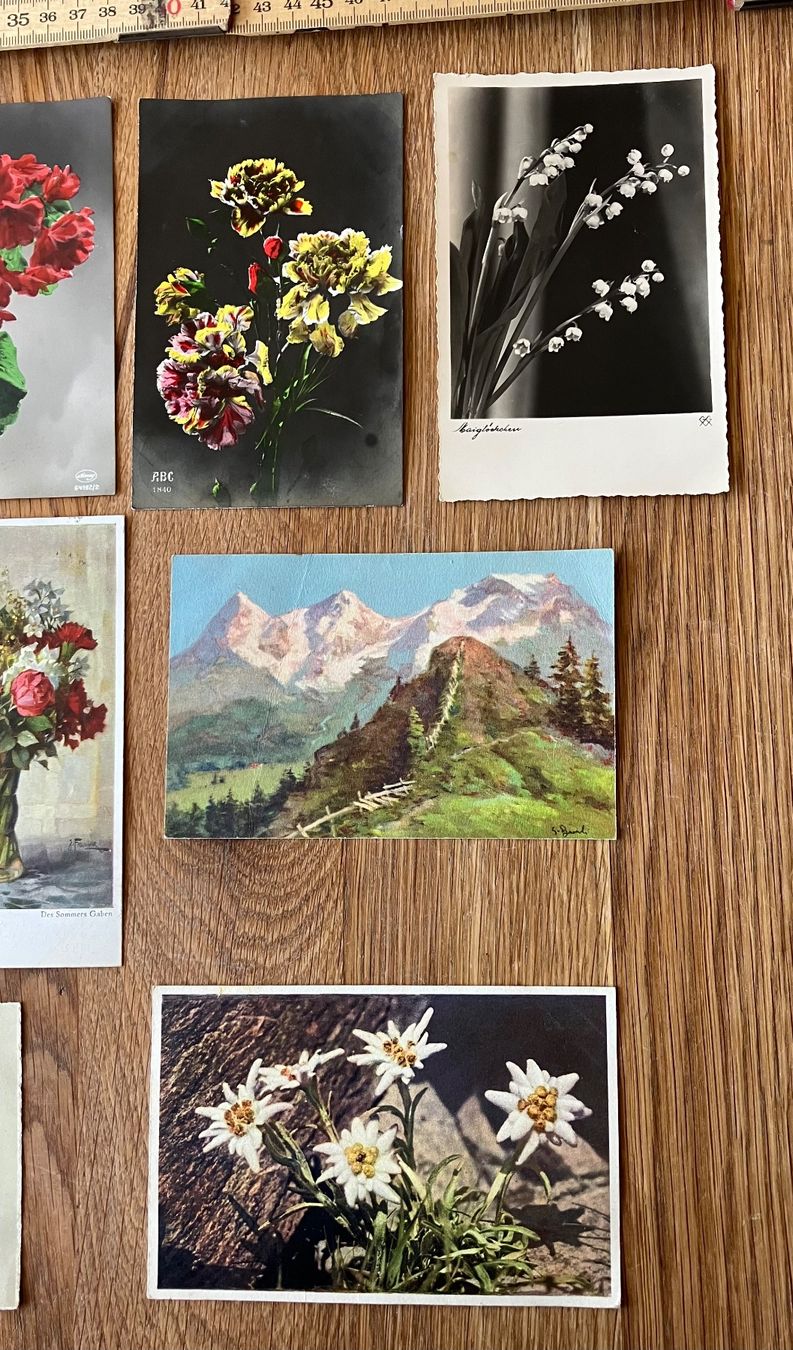 Cartes postales: Antike Ansichtskarten Blumen Grüsse – D'occasion à Waldstatt par breitaxt 3