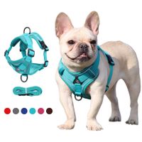 Hundegeschirr mit Leine, Grau, Grösse S, Neu inkl. Versand
