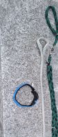Hundehalsband und Leinen Set - ideal für mittlere Hunde