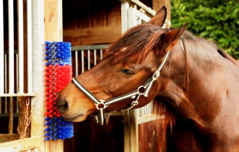 2er-Set Kratzbürsten Für Pferde & Kühe - Universal Bürste Mit Gebogenem Design Für Besseren Komfort