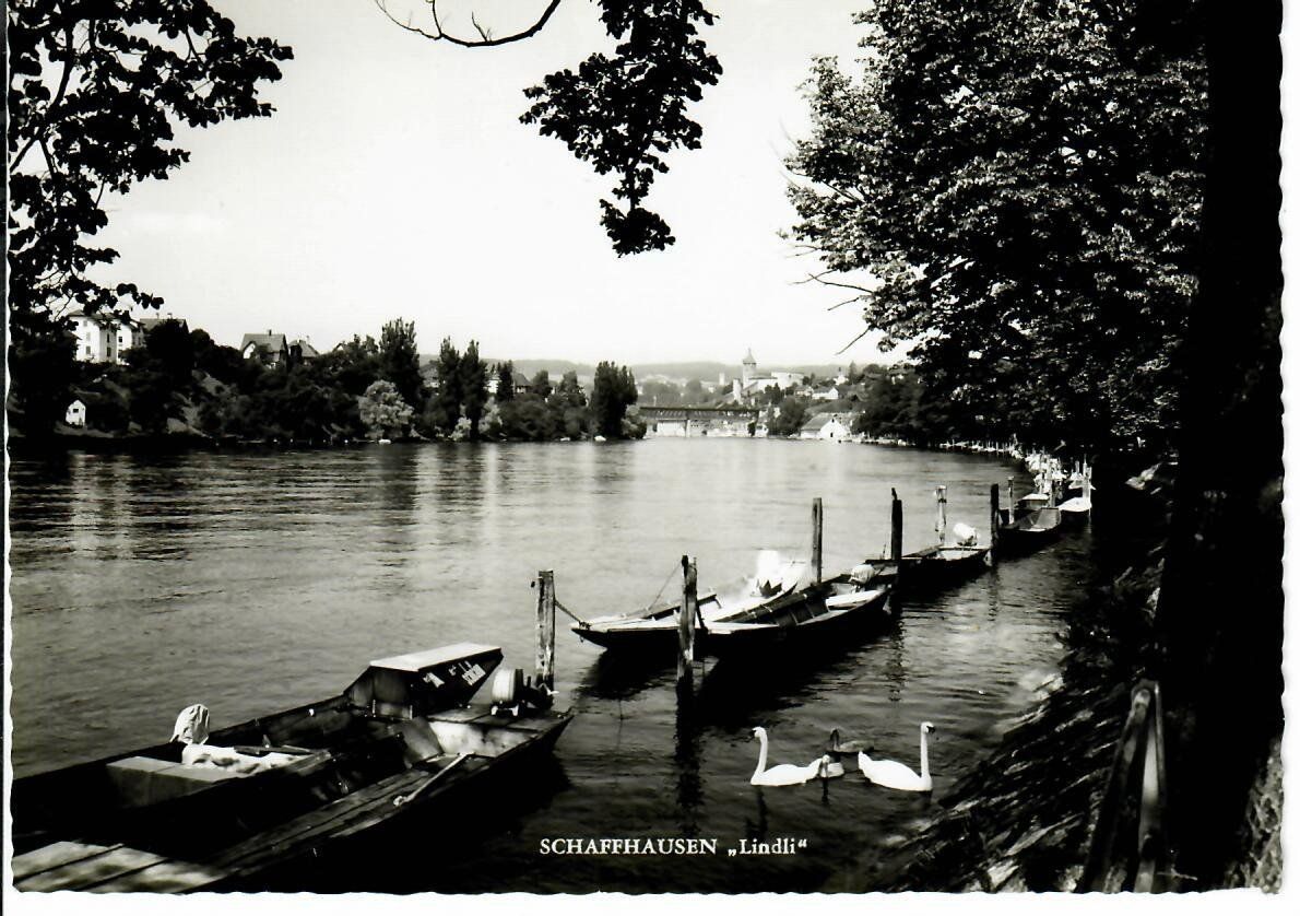 Cartoline postali: Schaffhausen - Lindli – Usato da Hochdorf venduto da Ziegel-16