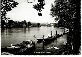 Schaffhausen - Lindli