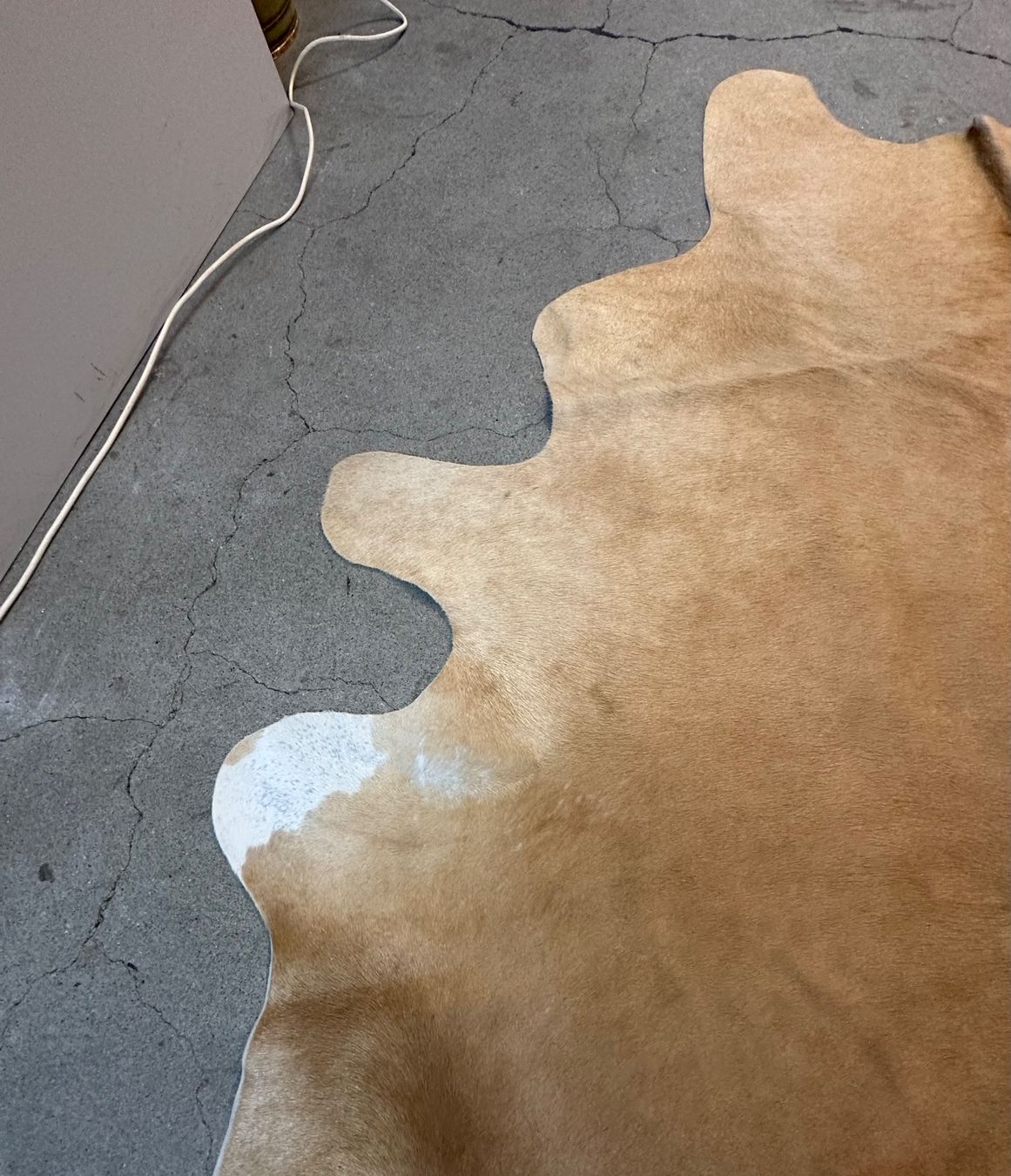 Tappeti: GROSSER KUHFELLTEPPICH AB 1.-!!! – Usato da Zürich venduto da NIKI777 5