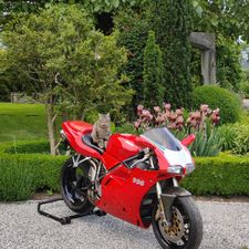 Profile image of Benutzername123456