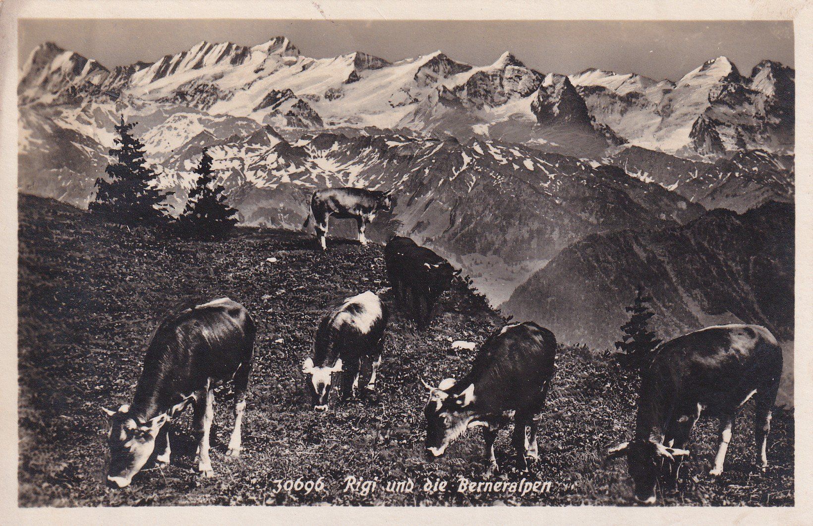 Cartoline postali: Rigi und die Berneralpen  1924 – Usato da Cormoret venduto da Pascalll2001