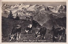 Rigi und die Berneralpen  1924