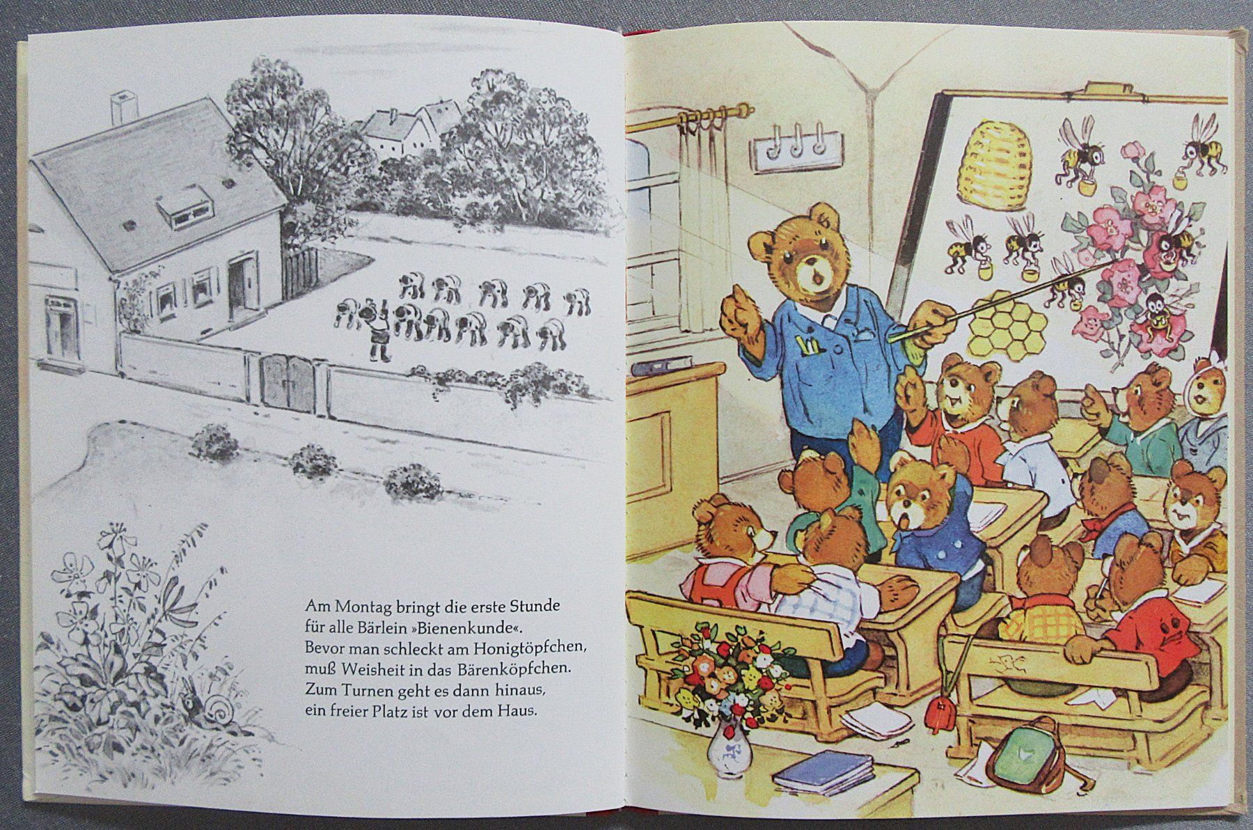 Libri: Die Teddyschule - mit Bildern von Fritz Baumgarten – Usato da Auenstein venduto da Padabimbim 5