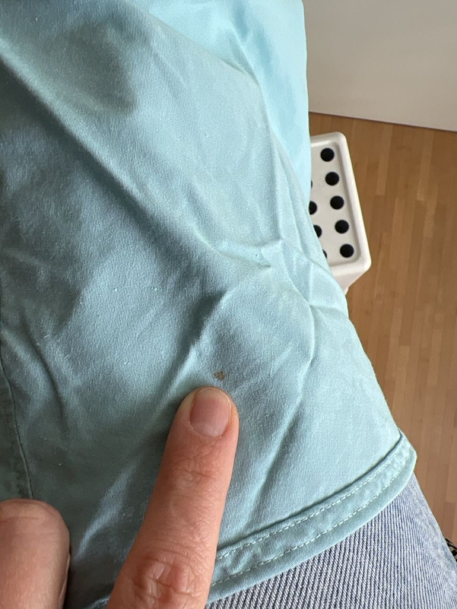 Camicie: Hemd von Nettelstroth, Grösse 40, made in CH – Usato da Wallisellen venduto da sarinavs 3