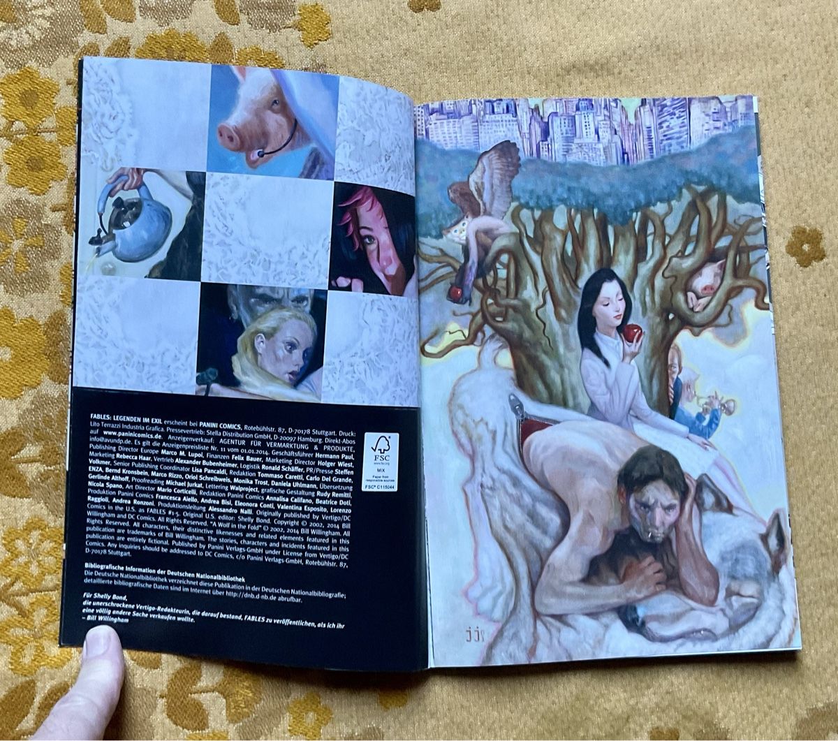 BD: Fables Band Nr 1 von 2014 – Neuf (Voir description) à Endingen par nathan05 3