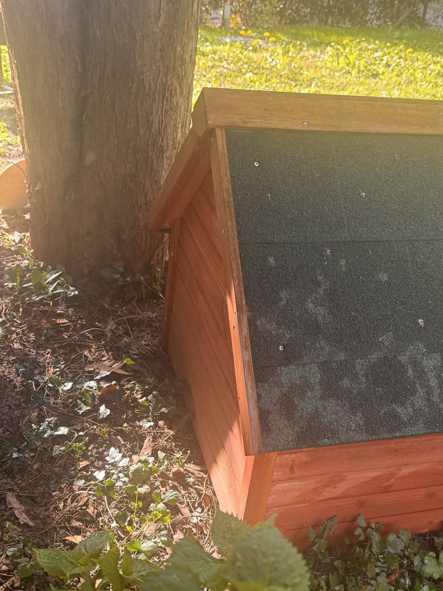 Gabbie, trasporto & Sicurezza: Wooden Dog House – Usato da Zürich venduto da pon_pv8m 2