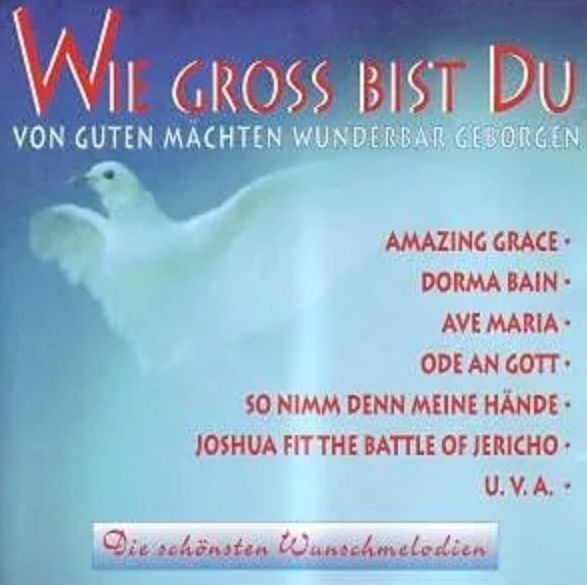 CDs: Wie Gross Bist Du - 1993 – Gebraucht aus Horn von enigma66