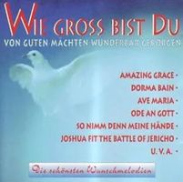 Wie Gross Bist Du - 1993
