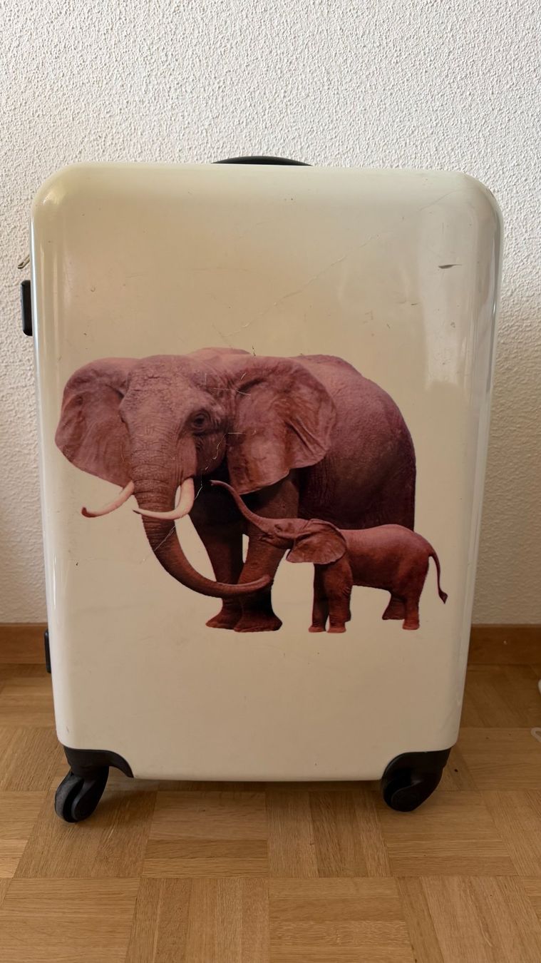 Reisekoffer: Valise rigide Leonardo 59 cm, bon état – Gebraucht aus Genève von dkr_j29m 1