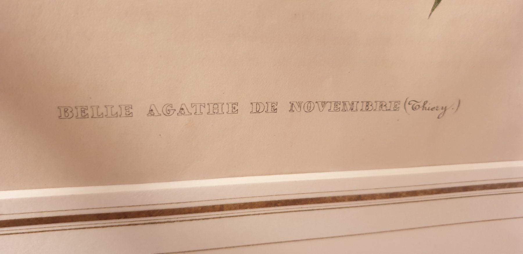 Incisioni: Stich um 1840 – Usato da Winterthur venduto da han_m89f 2
