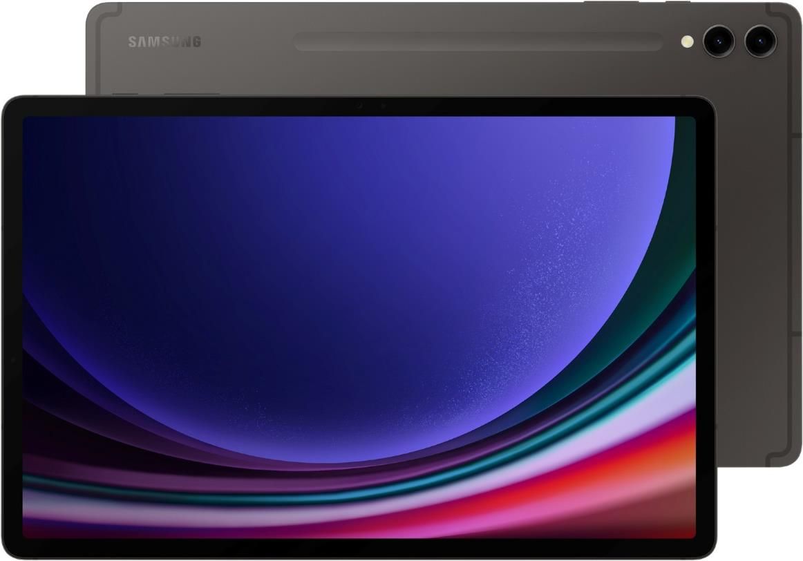 Tablet PC: Samsung Galaxy Tab S9+ WiFi 512GB Grau – Usato da Steinhausen venduto da verkaufench
