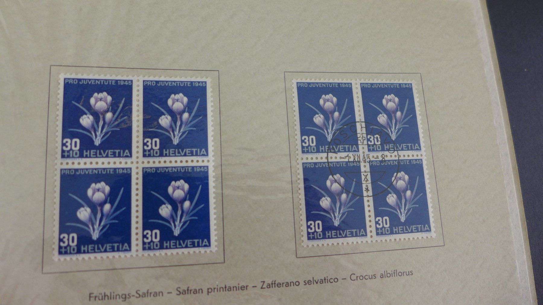 Tutti i francobolli: Briefmarken Schweiz – Nuovo (secondo la descrizione) da Basel venduto da Helmuth1945 5
