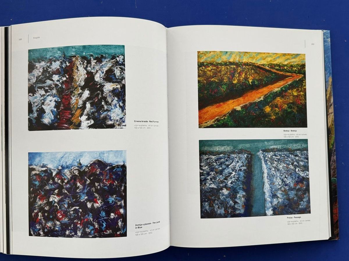 Libri: Goran Petrac. Retrospektive 2013. Katalog – Usato da Adliswil venduto da buch_und_kunst 7