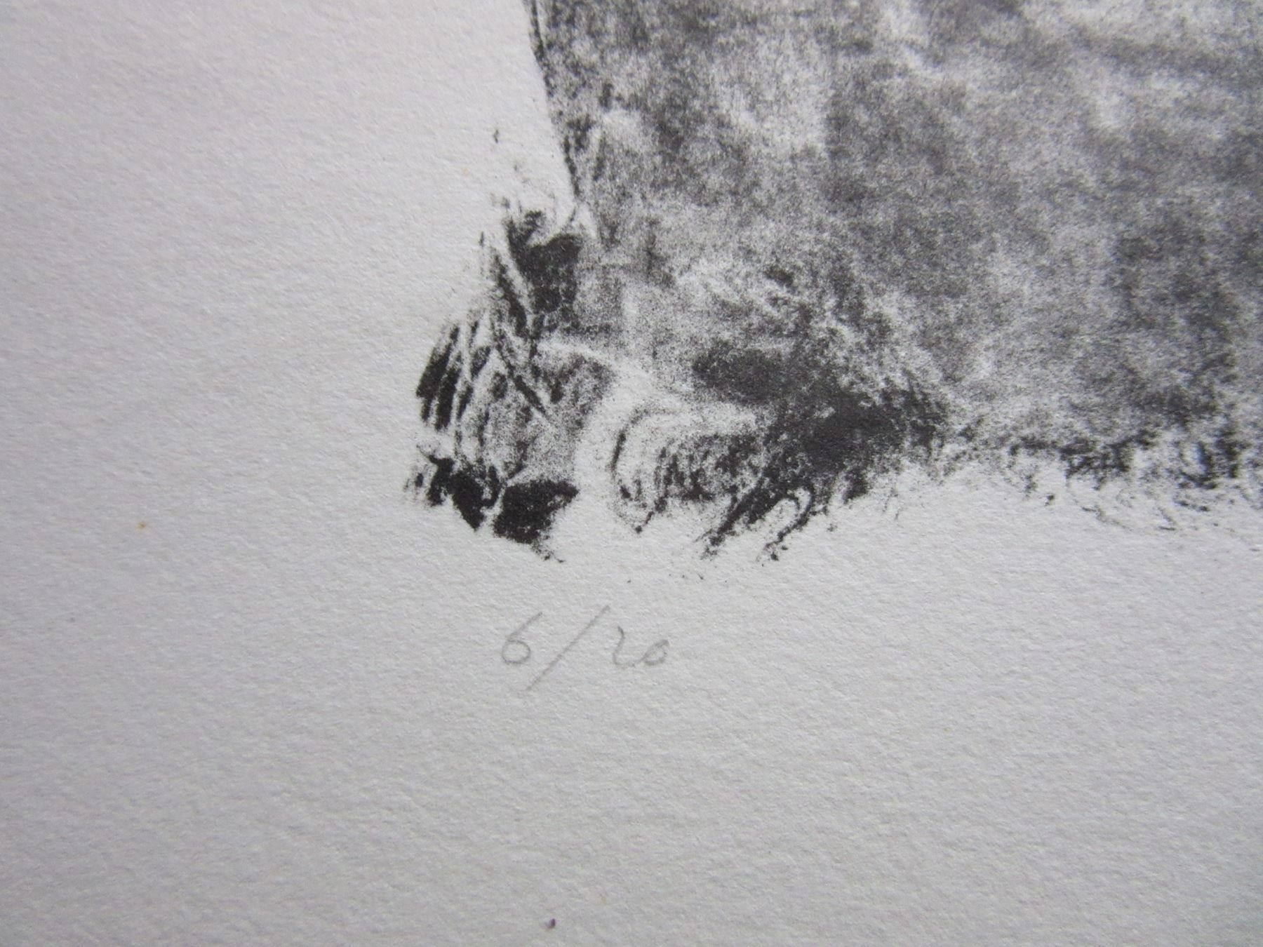 Arts picturaux & lithographies: MICHELE MAINOLI LITHOGRAPHIE SIGNIERT NUMMERIERT – D'occasion à Gersau par grafik-kunst 4