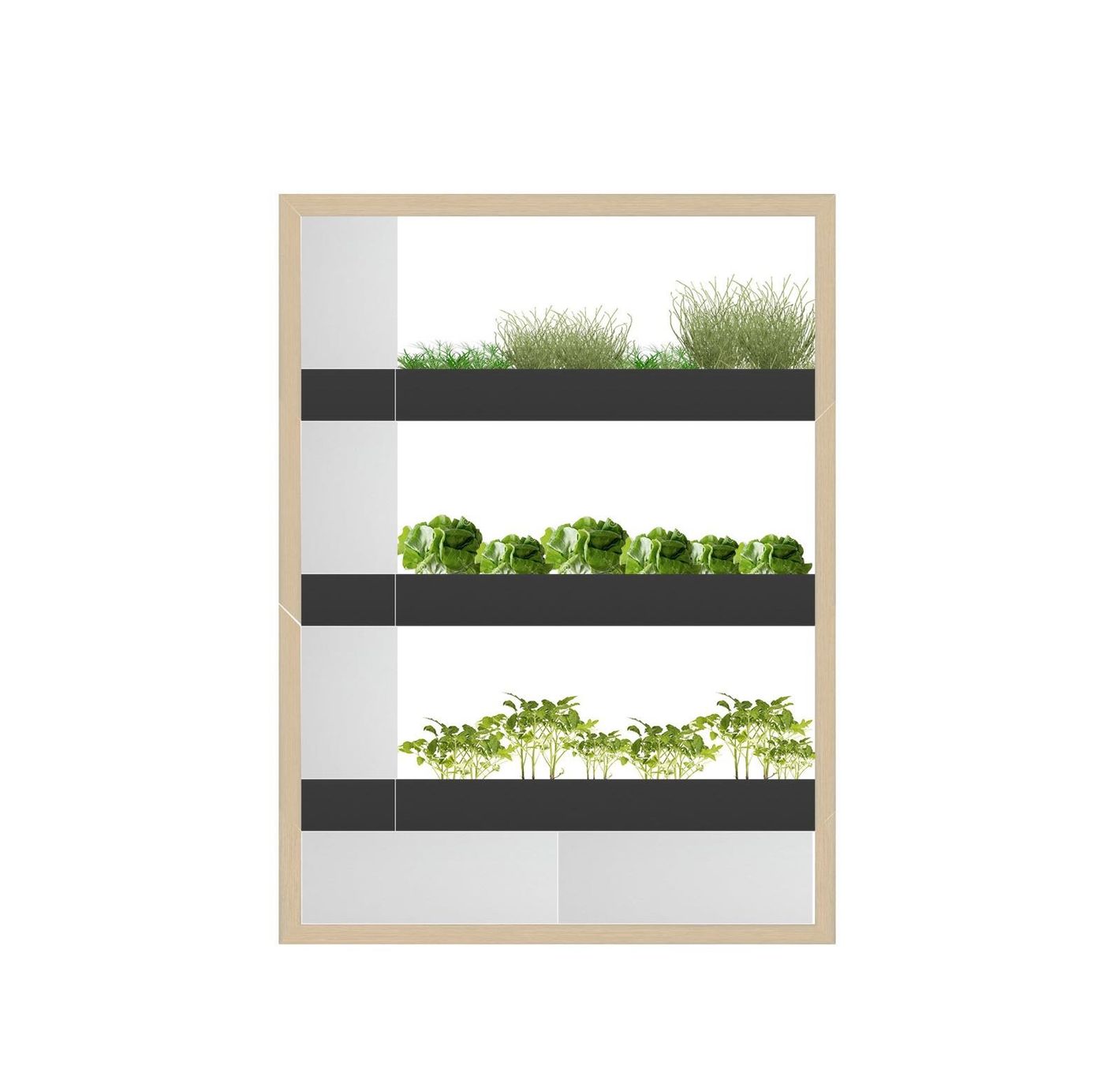 Altro: Hydroponik - Smart Indoor Farming System – Usato da Merenschwand venduto da palyaa 7