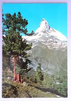 Matterhorn 4482 m