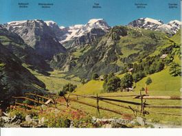 Braunwald 1982