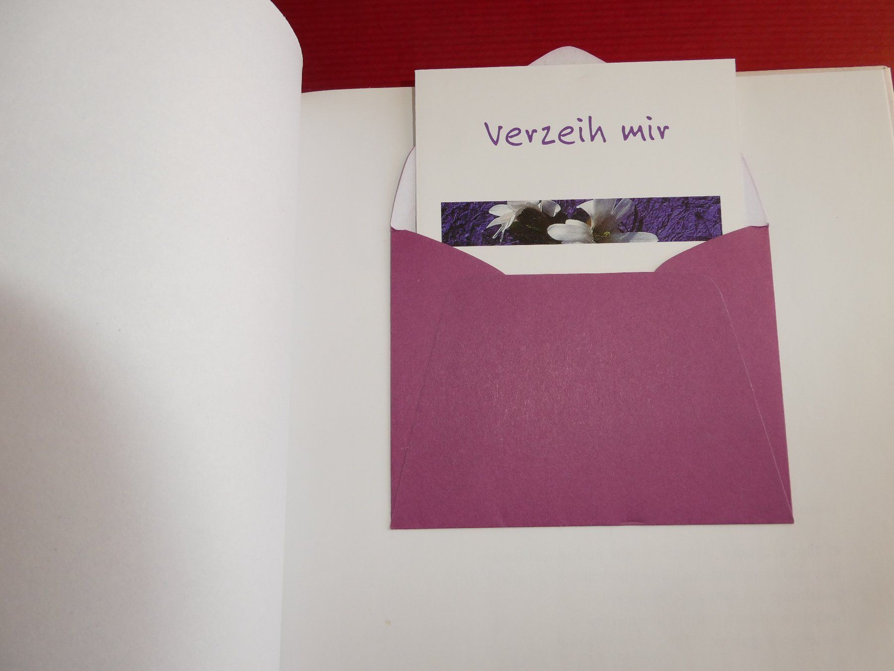 Libri: Büchlein Verzeih mir – Usato da Mels venduto da KOSL 1