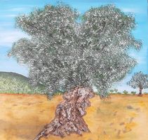 Alter Olivenbaum