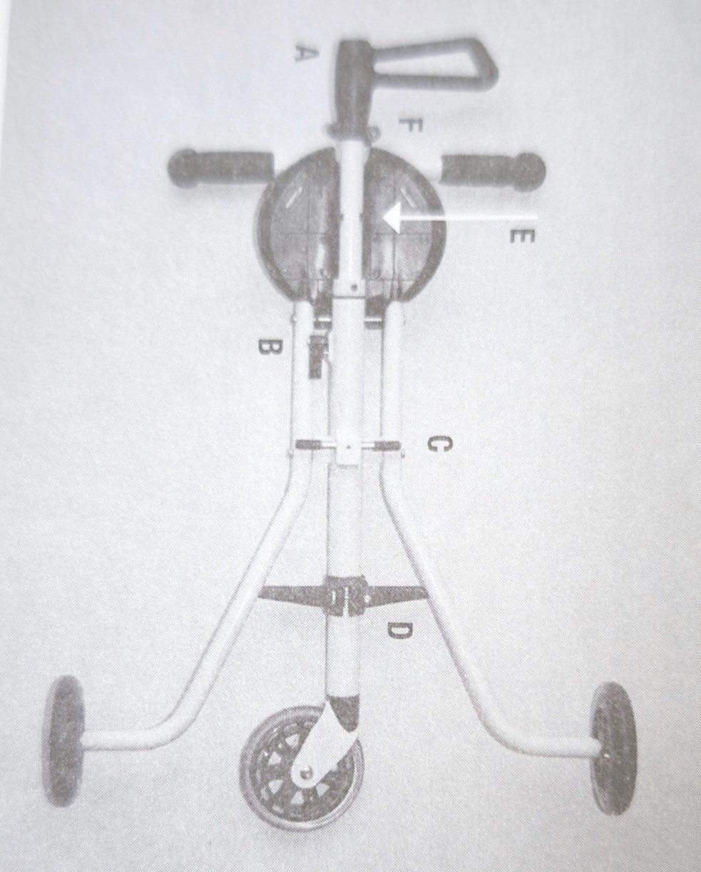 Micro Fahrzeuge für Kinder: Micro trike XL – Gebraucht aus Unterengstringen von brosi1313 2