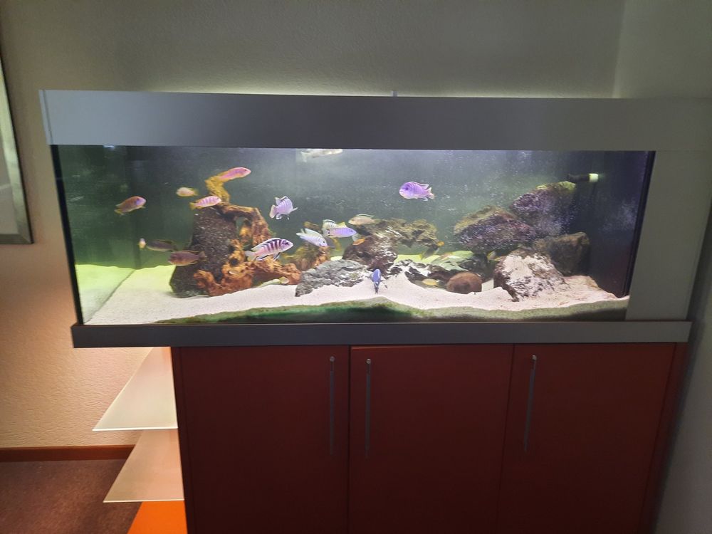 Aquarium 500 Liter