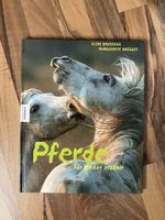 Pferde für Kinder erzählt