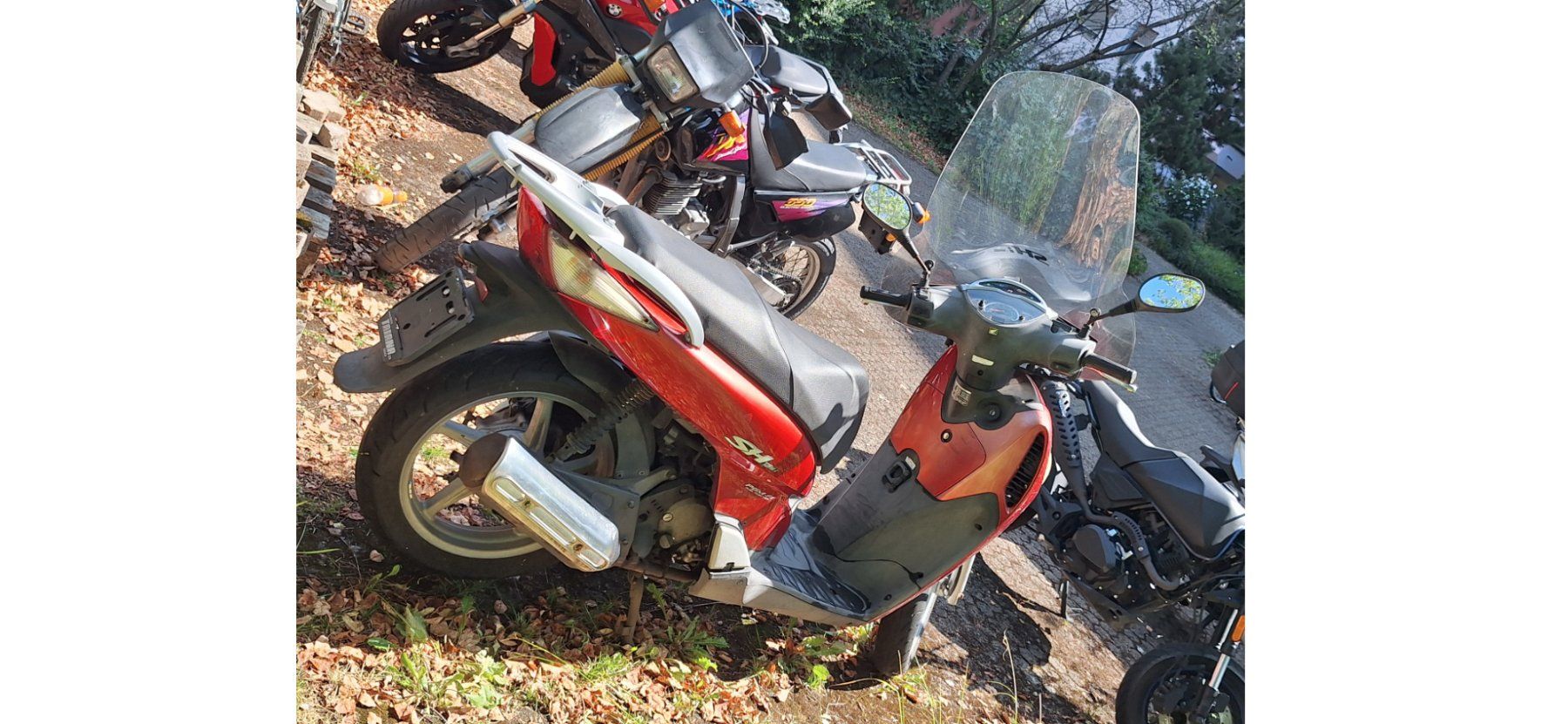 Honda Scooter: Roller, Honda SH125, 31902 km – Usato da Zürich venduto da patimrausch 2